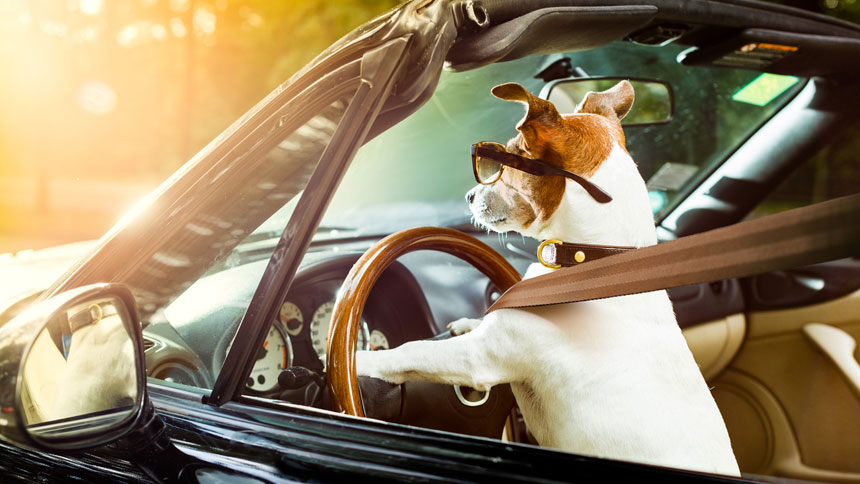 Rijschool Erik Snip logo